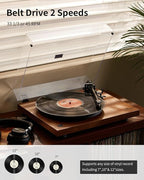 ANGELS HORN Turntable, Vinyl Record Player, Built-in Phono Preamp, Belt Drive - Image 2