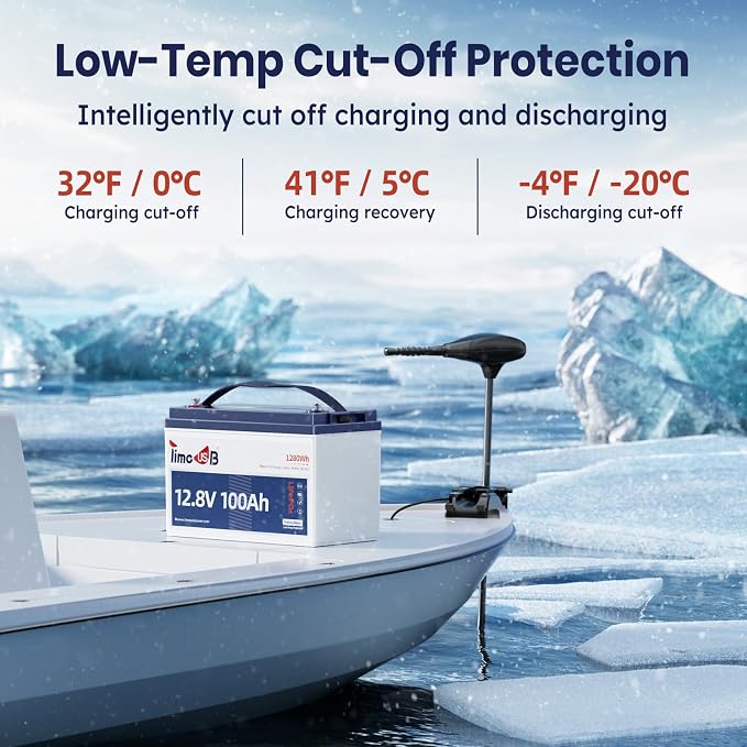 12V 100Ah TM Low-Temp Protection LiFePO4 Battery, Timeusb Group 31 Deep Cycle - Image 2