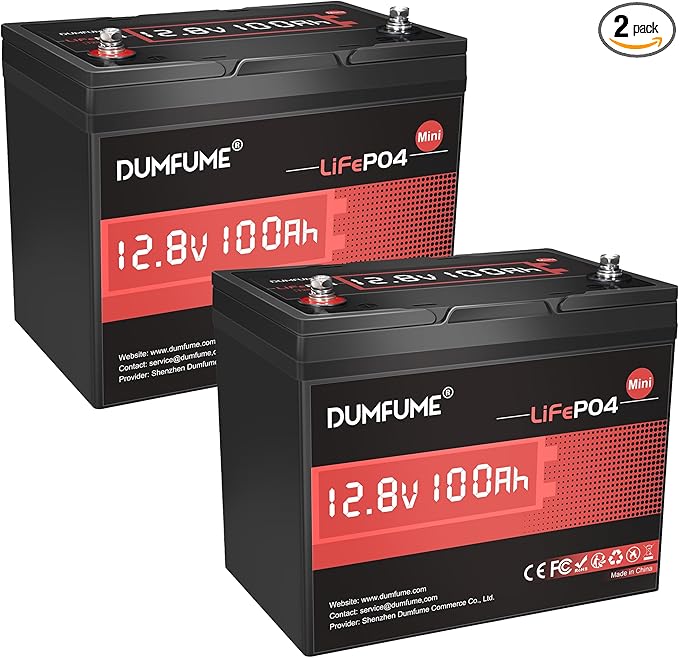 2 pack 12V 100Ah Mini LiFePO4 Lithium Battery, 100A BMS 1280Wh BCI Group 24 by Dumfume