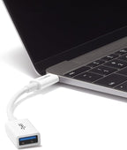 Amazon Basics USB-C to USB-A 3.1 Gen1 Female Adapter Cable Converter, 5Gbps - Image 5