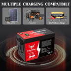 12V 300Ah Golf Cart Lithium LiFePO4 Battery - Image 5