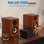 AK45 Pro Stereo Amplifier Home Audio, Stereo Receivers - Image 7