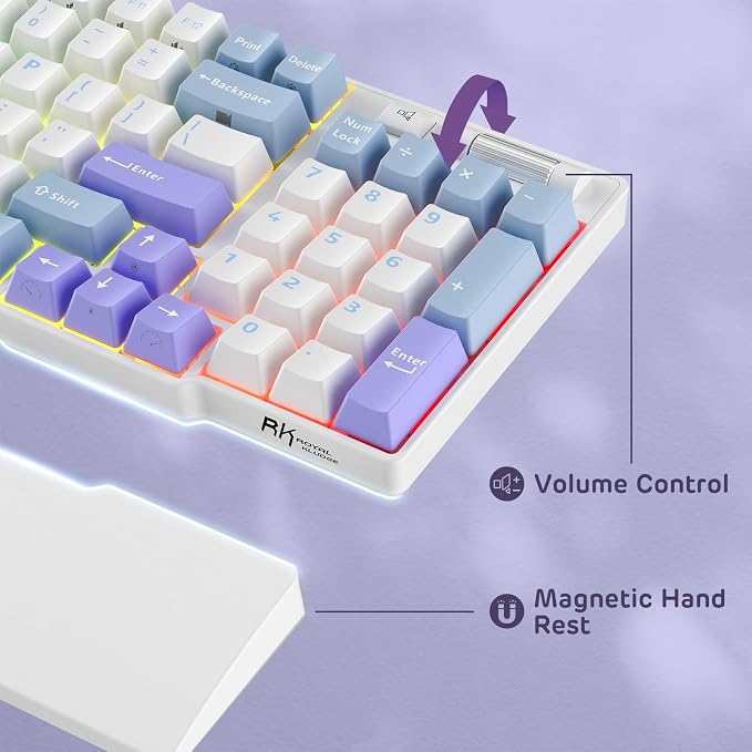RK ROYAL KLUDGE RK96 RGB Limited Ed, 90% 96 Keys Wireless 3-Mode - Image 5