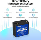 DC HOUSE 2 Pack 12V 30Ah LiFePO4 Lithium Battery, Low Temp Cut-Off, 4000+ Deep - Image 5