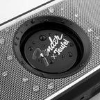 Fender x Teufel ROCKSTER GO 2 Portable Bluetooth Speaker – Powerful Sound - Image 4