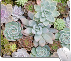 Cute Succulents Mouse Pad, Natural Plants Mousepad by Hokafenle