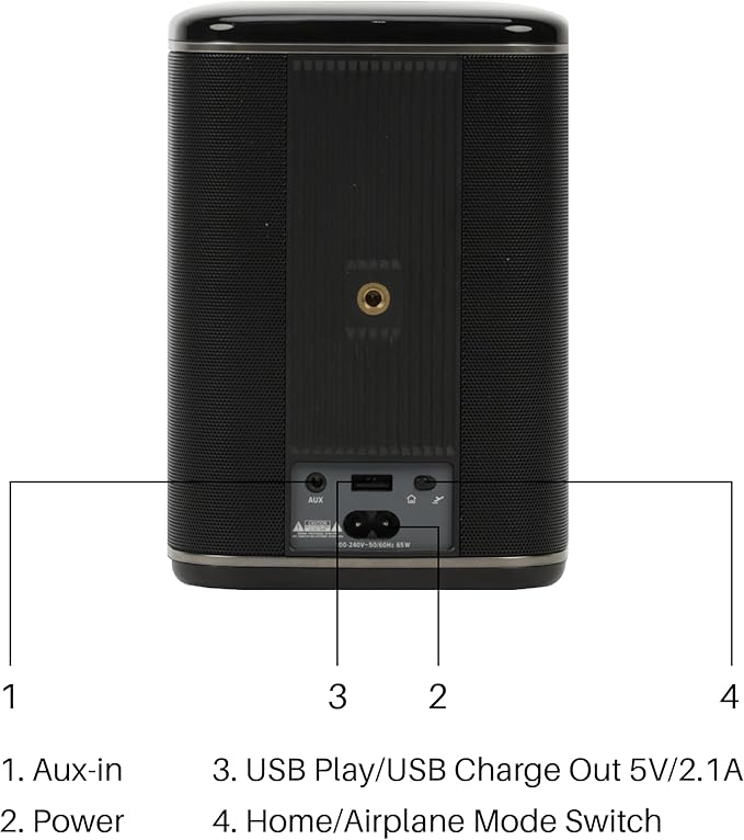 RIVA Upgraded Arena Wi-Fi Bluetooth Hi-Fi Speaker, 6 Drivers, Supports Airplay 2 - Image 3