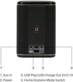 RIVA Upgraded Arena Wi-Fi Bluetooth Hi-Fi Speaker, 6 Drivers, Supports Airplay 2 - Image 3