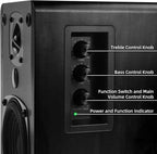 SINGING WOOD BT27 Active Powered Bluetooth Bookshelf Speakers - Image 6