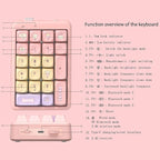 NumberPad, 21Keys HotSwappable Numpad, Rechargeable Number keypad, RGB Gasket - Image 3