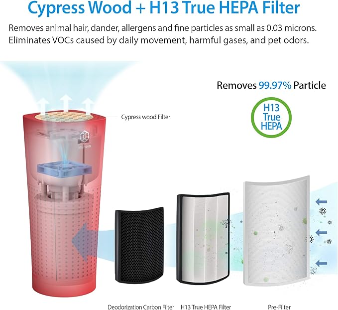 IMUNSEN M-003R True HEPA 13 Filter Air Purifier - Image 3