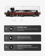 ANGELS HORN Vinyl Record Player Turntable - Image 6