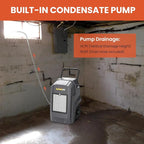 Abestorm Commercial Dehumidifier - Image 4