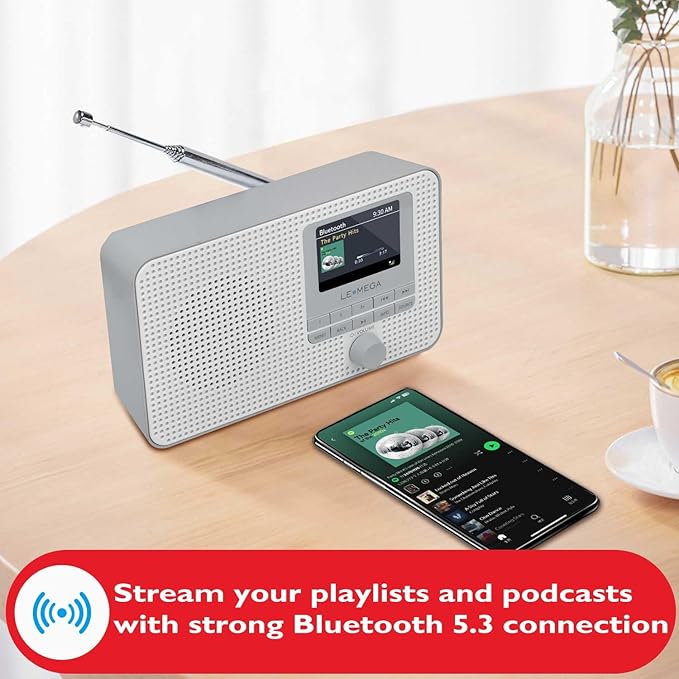 LEMEGA IR1 Portable WiFi Internet Radio, FM Digital Radio, Dual Alarms Clock - Image 2