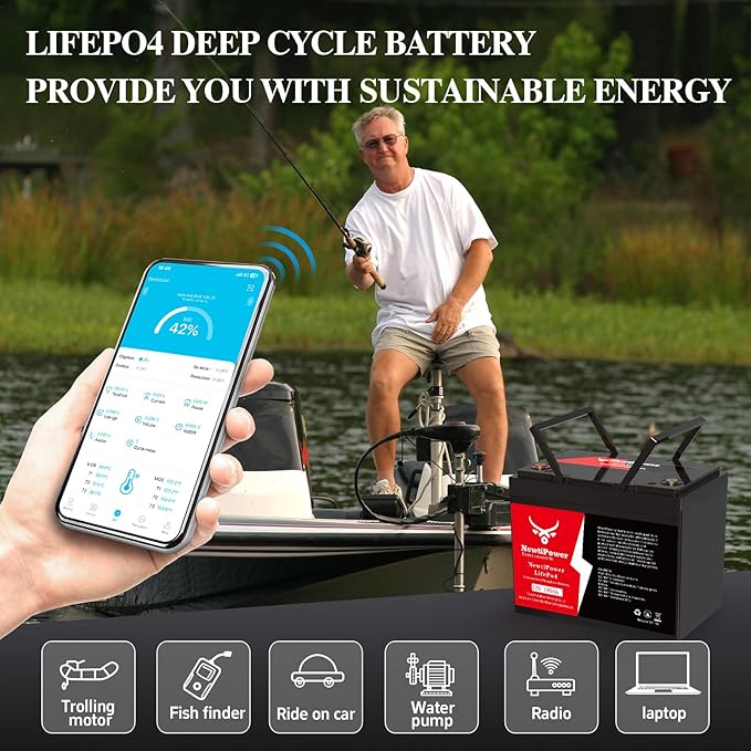 12V 100Ah Lithium LiFePO4 Battery - Image 6