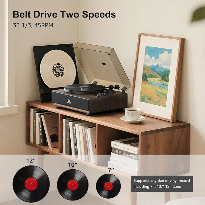 Vinyl Record Player Built in HiFi Stereo Speakers BT Wireless Input Belt Drive - Image 2