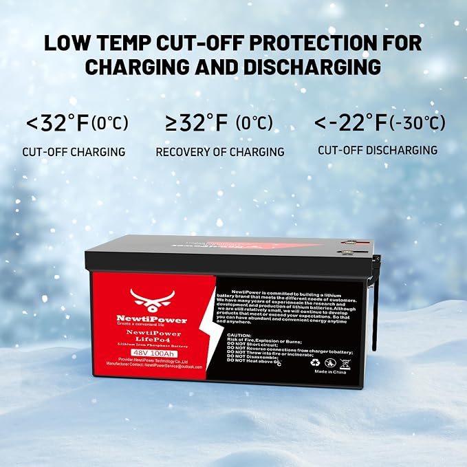 48V 100Ah Golf Cart Lithium LiFePO4 Battery - Image 6
