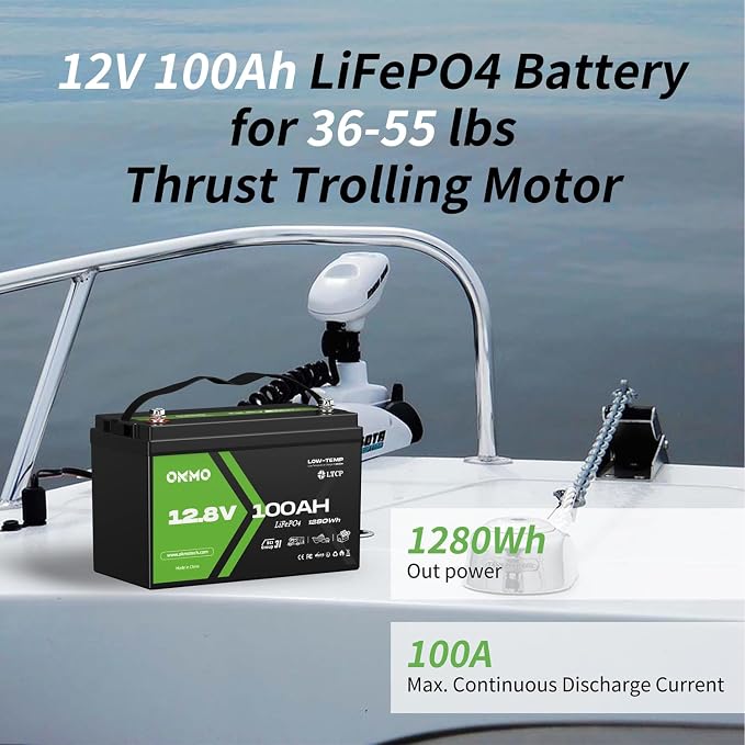 12V 100Ah LiFePO4 Lithium Battery, Group 31, Built-in 100A BMS, Low-Temp - Image 5