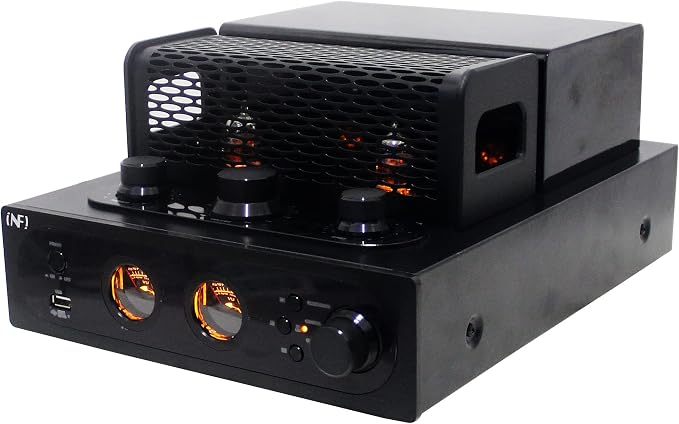 INFI Audio Hybrid Class AB Tube Amplifier 6N3 Power Amp by INFI+Audio