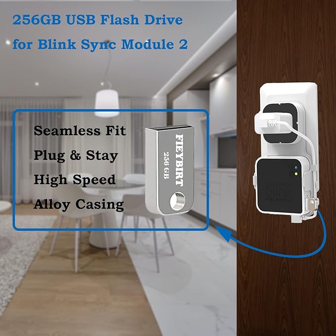 256GB Blink USB Flash Drive and Sync Module 2 Mount, Space Saving and Easy Move - Image 2
