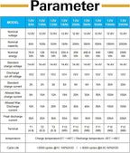 Weize 12V 100Ah TM LiFePO4 Lithium Battery, Built-in Smart BMS, Group 31 Deep - Image 7