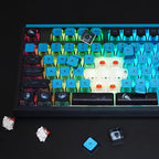 MOLGRIA SKYLOONG GK87 Jellyfish Pudding Keycaps RGB Backlit Gaming Keyboard - Image 4