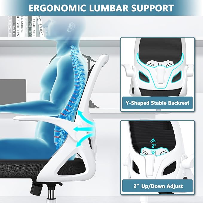 Home Desk Chair with Back Supportive Lumbar Support, Breathable Double Mesh - Image 3