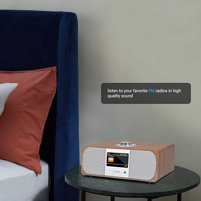 LEMEGA M3P WiFi Internet Radio, FM Digital Radio, Spotify Connect, Stereo Sound - Image 5