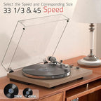 Turntables Record Player with Wireless Output Connectivity Vinyl Player - Image 8