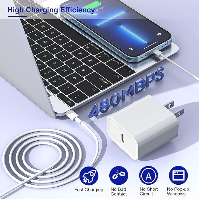 10FT iPhone Fast Charger - Image 5