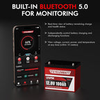 12V 100Ah LiFePO4 Battery with Bluetooth, 12V Lithium Battery Built in 100A BMS - Image 3