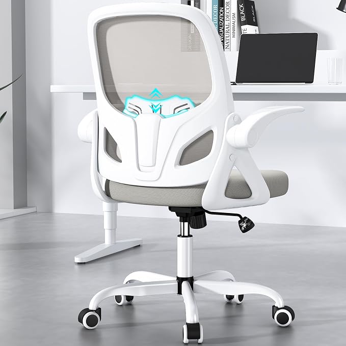 Home Desk Chair with Back Supportive Lumbar Support, Breathable Double Mesh by Kensaker
