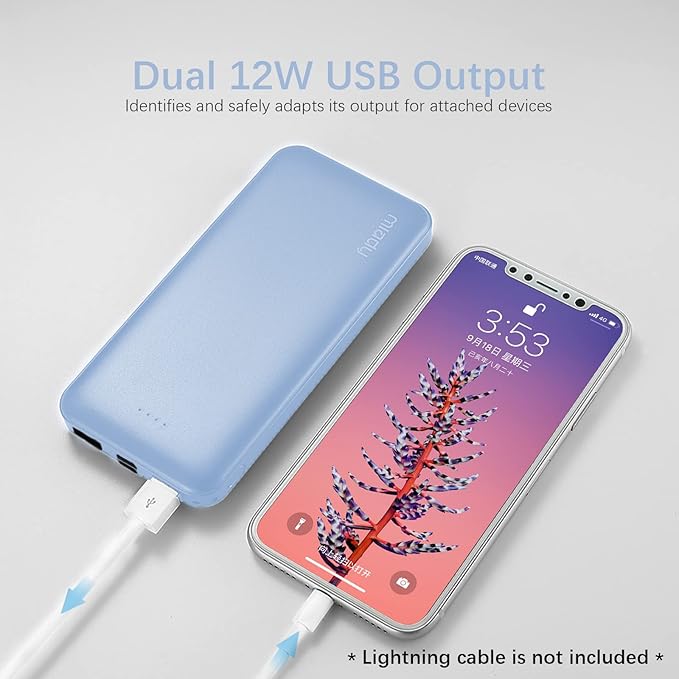 Miady 2-Pack 10000mAh Dual USB Portable Charger, Type-C Fast Charging Power Bank - Image 3