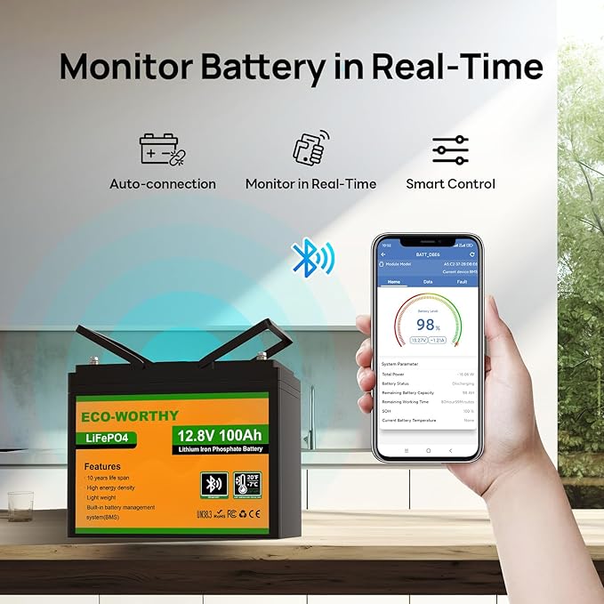 ECO-WORTHY 12V 100AH LiFePO4 Lithium Battery - Image 2