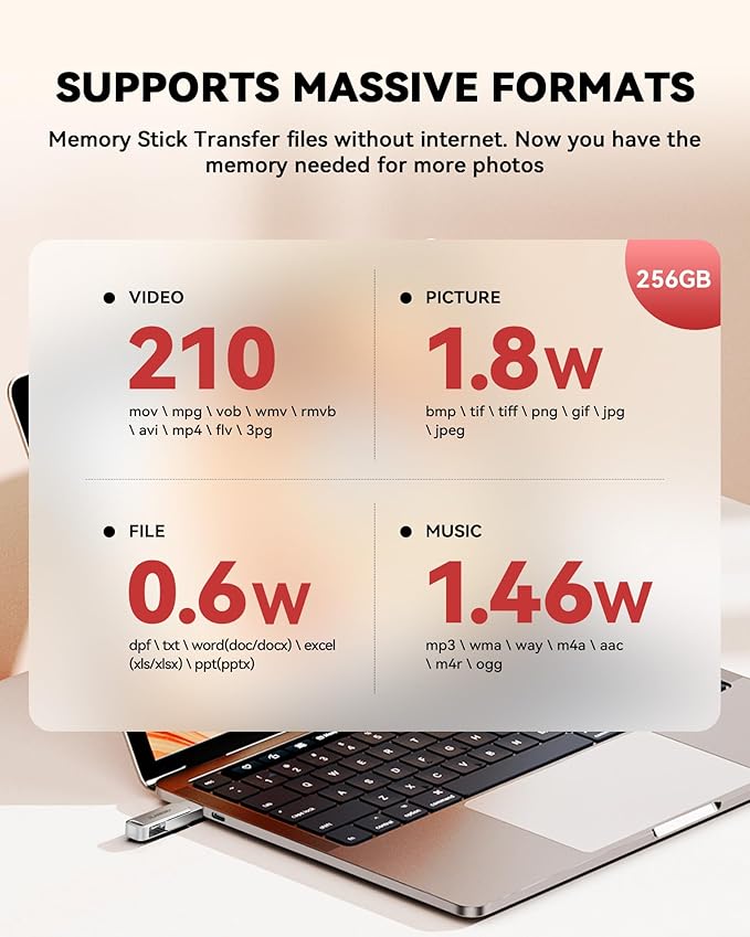 MFi Certified 256GB Flash Drive - Image 7