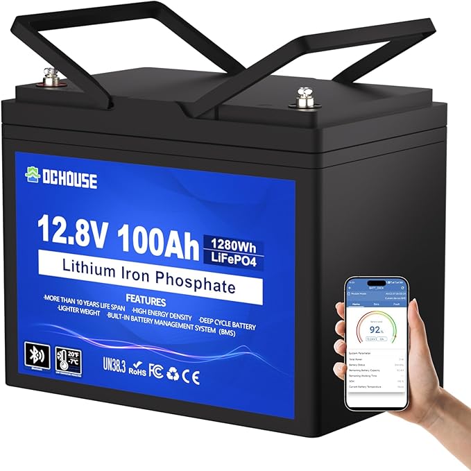 DC HOUSE 12V 100Ah LiFePO4 Lithium Battery, Group 31 Lithium Battery, 100A BMS by DCHOUSE
