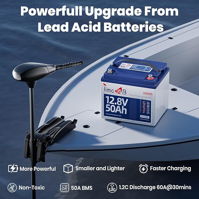 12V 50Ah TM LiFePO4 Battery - Image 3