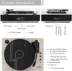LP&NO.1 Record Player wirelessTurntable - Image 7