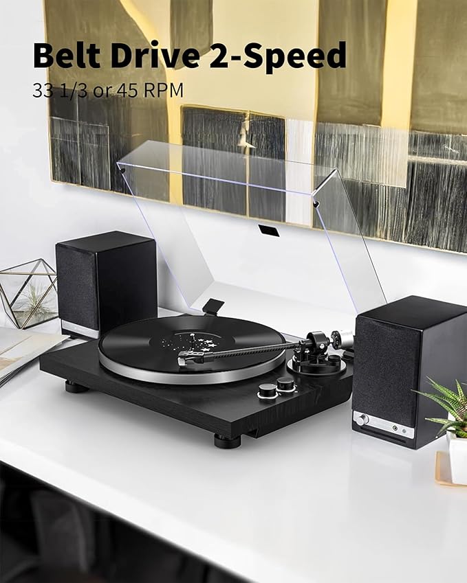 Turntable Vinyl Record Player Support Bluetooth Output Phono/Line Switch Pitch - Image 7