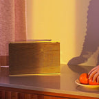 Bang & Olufsen Beosound Level Portable Wi-Fi Multiroom Speaker - Image 11