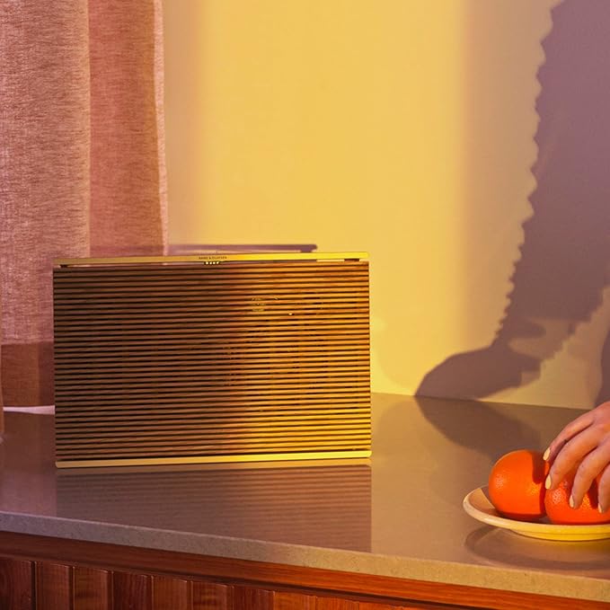 Bang & Olufsen Beosound Level Portable Wi-Fi Multiroom Speaker - Image 11