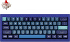 Keychron Q4 Wired Custom Mechanical Keyboard, 60% Layout QMK/VIA Programmable by Keychron