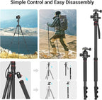 SmallRig CT-20 Camera Tripod, 78.7" Foldable Aluminum Tripod & Monopod - Image 6