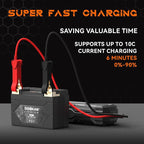 DKL9 450A LiFePO4 Motorcycle Lithium Battery, 12V 3Ah Powersports Battery - Image 7