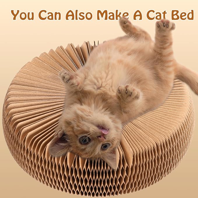 Double-Layer Cat Track Ball Toy, Cat Ball Adventure The Ultimate Interactive - Image 5