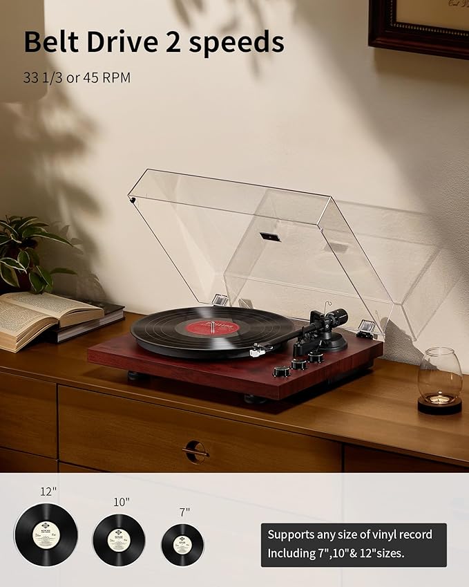 ANGELS HORN Vinyl Record Player Turntable - Image 2