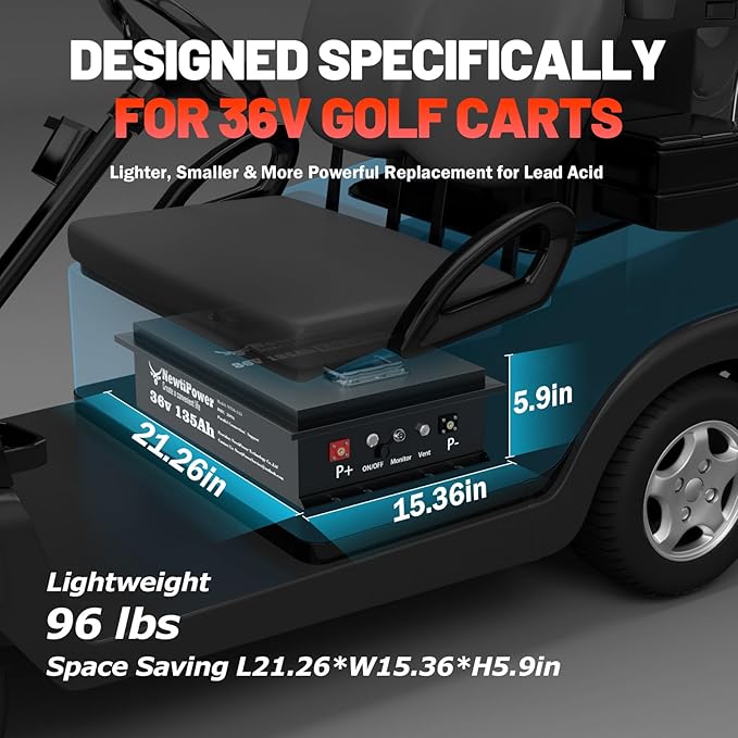 36V 135Ah Golf Cart Lithium LiFePO4 Battery - Image 2