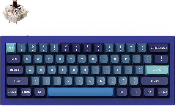 Keychron Q4 Wired Custom Mechanical Keyboard, 60% Layout QMK/VIA Programmable by Keychron