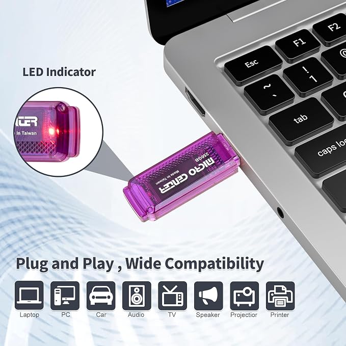 INLAND Micro Center Super Speed 256GB 2-Pack Ultra Flash Drive USB 3.0/USB3.1 - Image 6