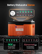 ECO-WORTHY 12V 100AH LiFePO4 Lithium Battery - Image 2